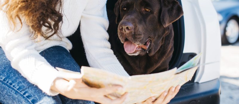 woman-sitting-with-her-dog-open-trunk